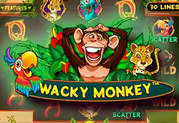 Wacky Monkey